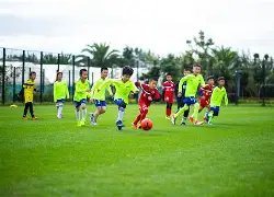 张帅,梅拉德诺维,奇轻松取胜,博鱼体育官网,博鱼体育app,博鱼体育APP下载