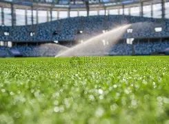 网球界女神,喜结连理,疫情受害者,博鱼体育官网,博鱼体育app,博鱼体育APP下载