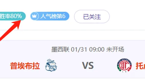 国安新主场草坪亮相：新绿如毯，好评如潮，传控优势显著